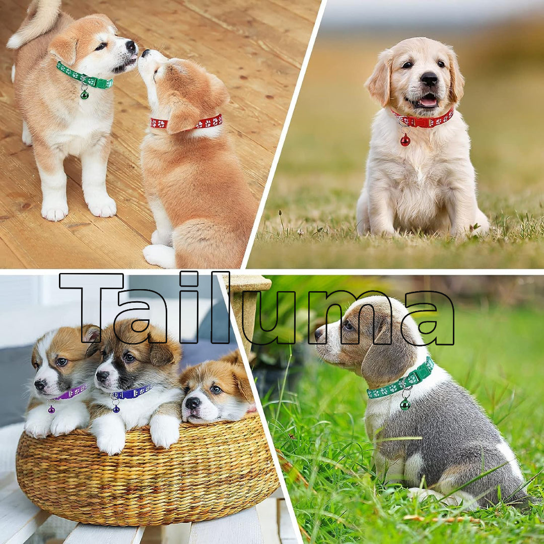 Puppies wearing colorful pet collars with small bells. These adjustable collars are designed for comfort, safety, and easy identification for dogs and puppies.