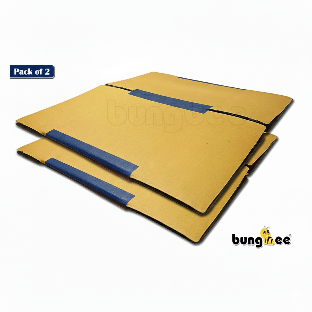 A stack of two flat brown cardboard boxes with blue tape reinforcement on the edges, labeled “Pack of 2,” placed on a white background.