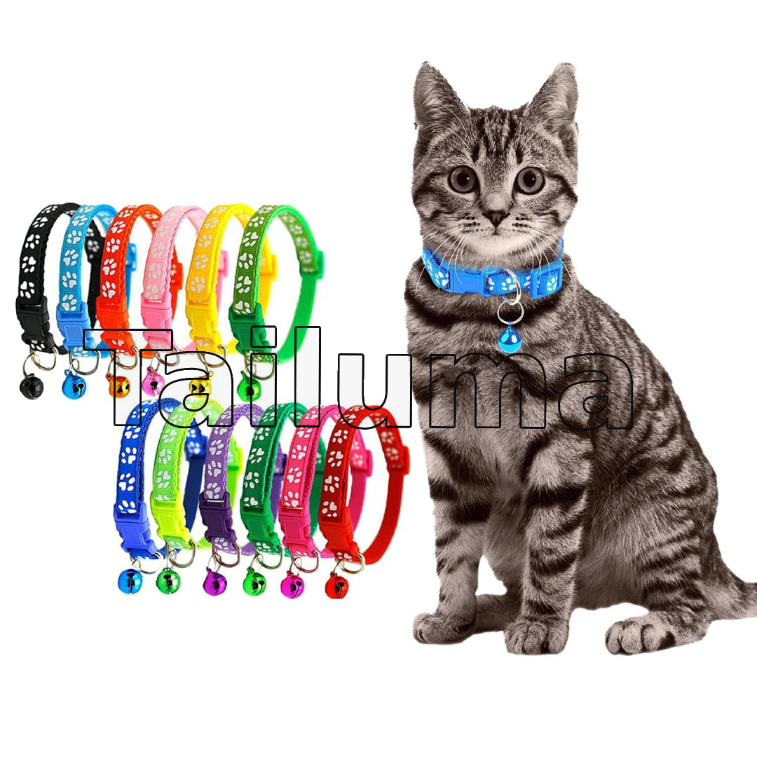 A cat wearing a blue pet collar with a bell along with multiple colorful adjustable collars paw designed for cats and small pets.