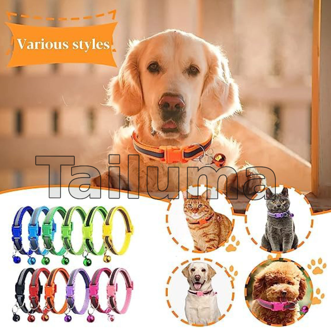 Dog wearing a colorful pet collar with a bell. It also displays various styles of adjustable collars for dogs and cats.