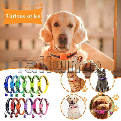 Dog wearing a colorful pet collar with a bell. It also displays various styles of adjustable collars for dogs and cats.