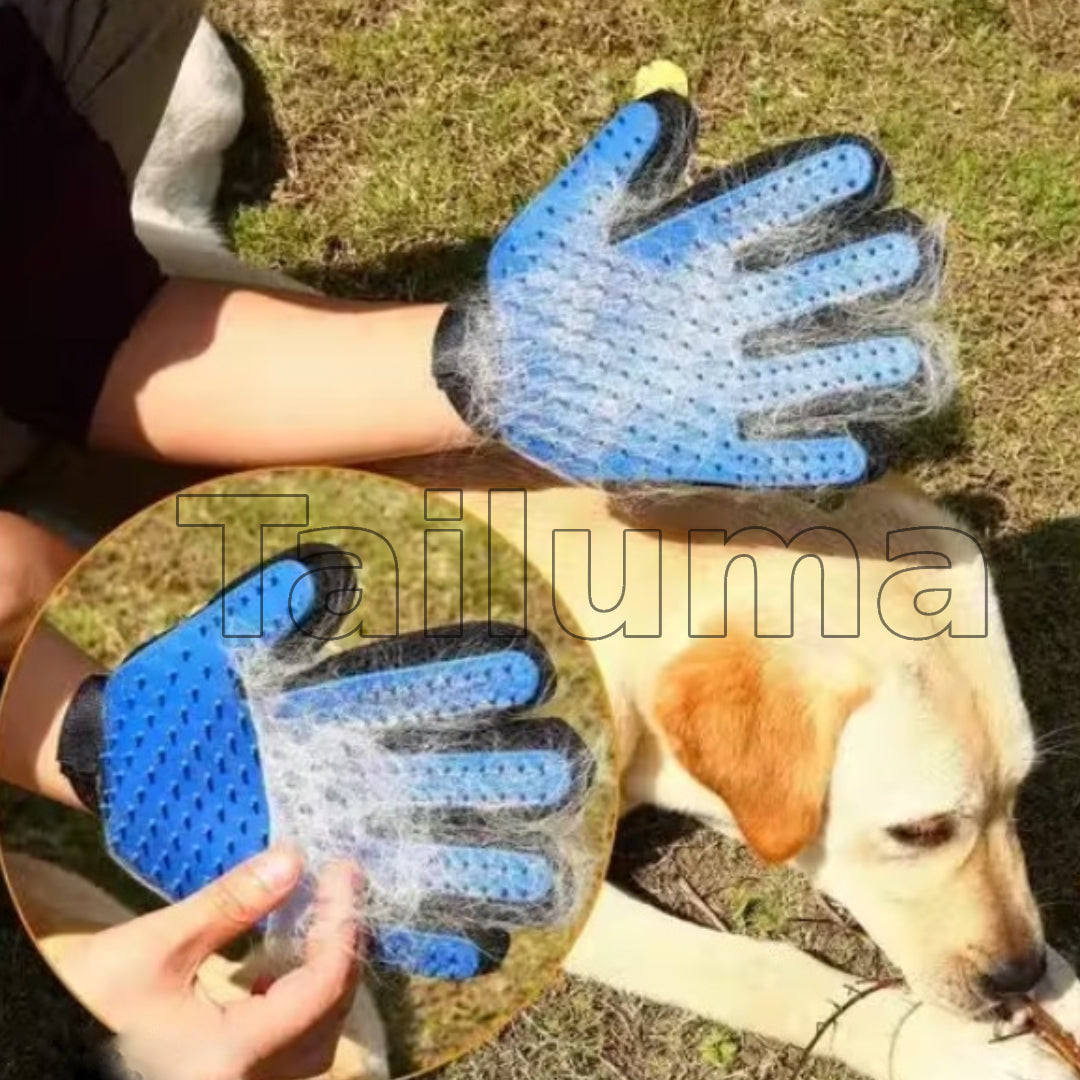 Pet grooming glove removing loose dog hair while brushing a dog. The glove collects fur easily, helping keep pets clean and reduce shedding.