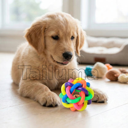 Cute puppy sitting on the floor and looking at a multicolor rubber dog toy ball.