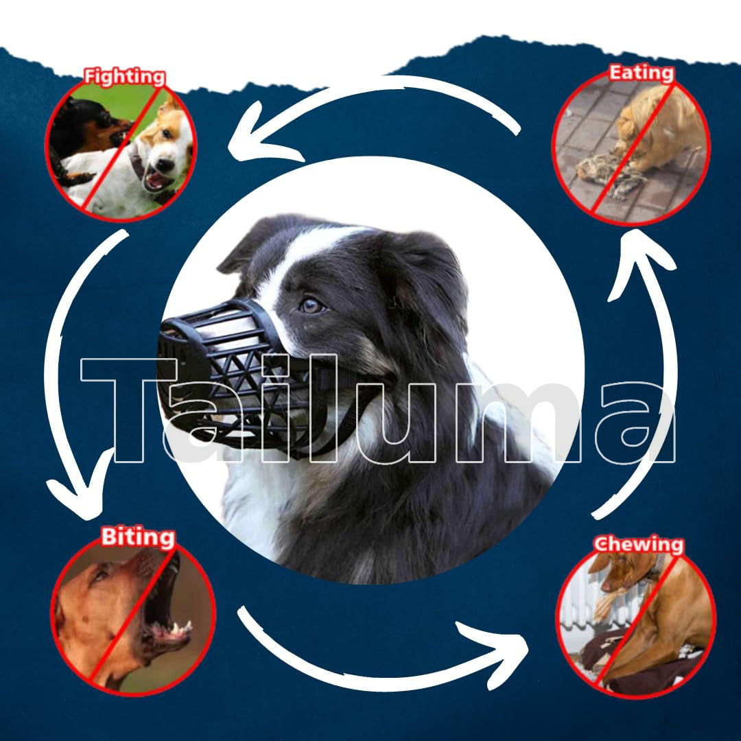 Dog wearing a safety muzzle. It helps prevent biting, fighting, chewing, and eating unwanted items, making the dog safer during training, travel, and walks.