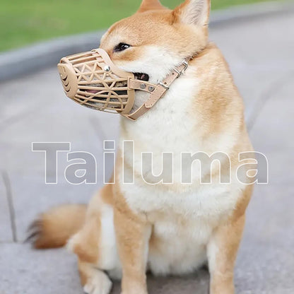 Dog wearing a beige basket-style muzzle. The muzzle helps prevent biting while allowing the dog to breathe comfortably during walks, training, or grooming.
