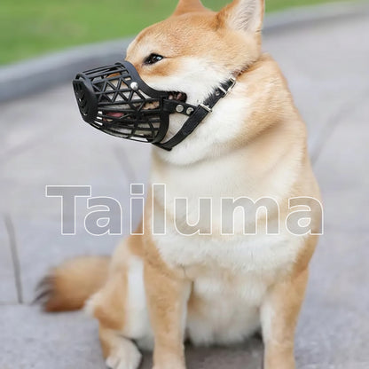 Dog wearing a black basket-style muzzle. The muzzle helps prevent biting while allowing the dog to breathe and stay comfortable during walks or training.