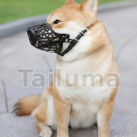 Dog wearing a black basket-style muzzle. The muzzle helps prevent biting while allowing the dog to breathe and stay comfortable during walks or training.