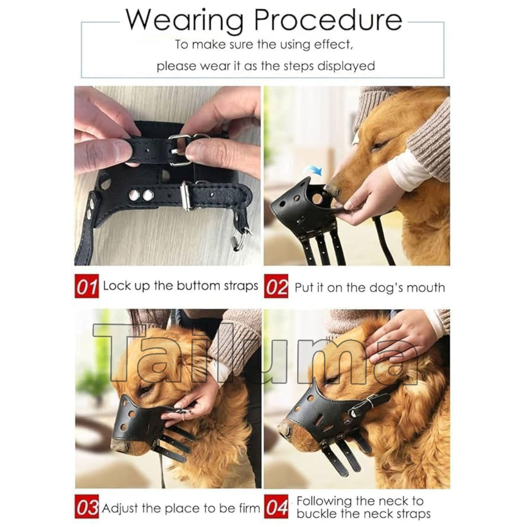 step-by-step guide on how to wear a dog muzzle, including locking straps, placing it on the dog’s mouth, adjusting the fit, and securing the neck strap.