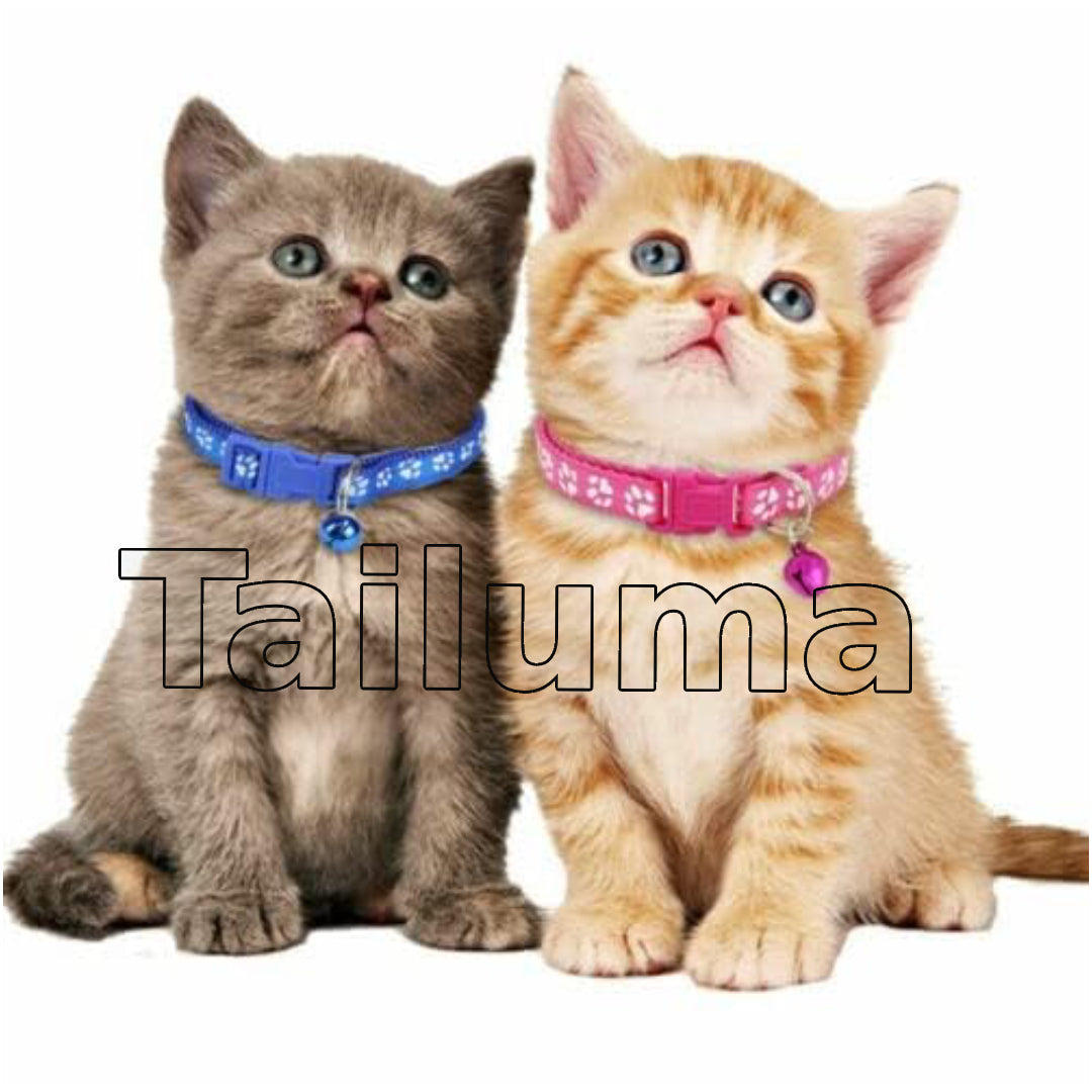 Two kittens wearing colorful pet collars with small bells. These adjustable collars help keep cats safe, visible, and easy to identify.