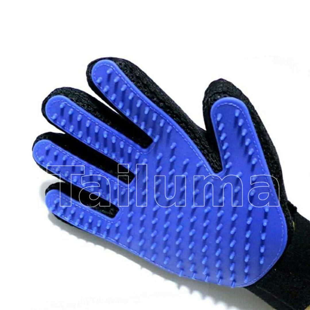 Pet grooming glove with soft silicone bristles used for dogs and cats. It helps remove loose hair, dirt.