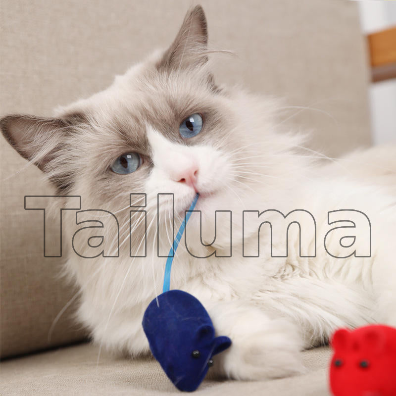 fluffy cat playing with a blue mouse toy, holding its tail in its mouth.