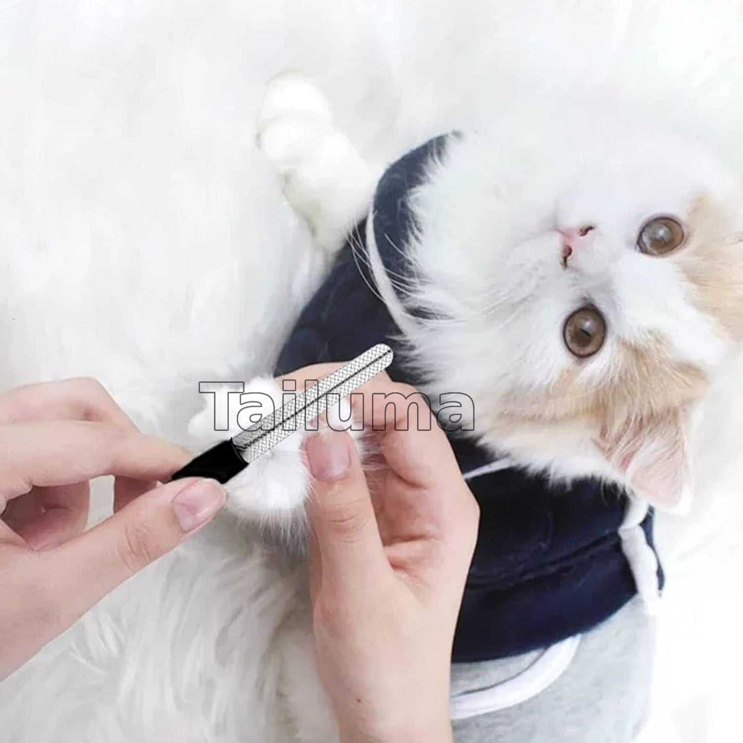 Illustration a person gently filing a white cat’s nail while the cat lies calmly on its back.