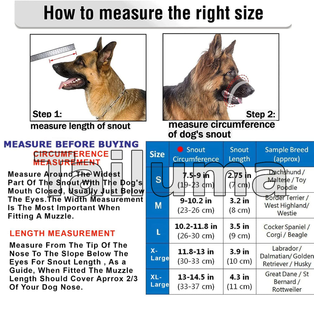 Guide on how to measure a dog’s snout for the correct muzzle size, including snout length, circumference measurement, and a size chart.